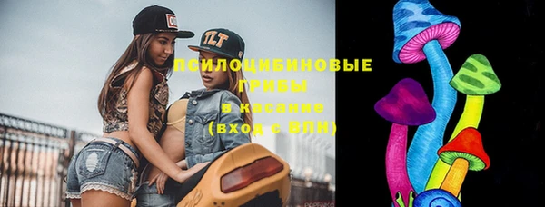 твердый Алексин