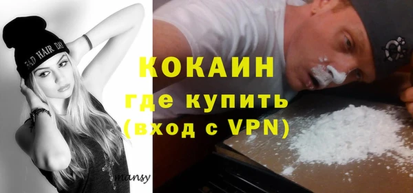 твердый Алексин