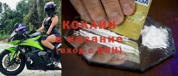 твердый Алексин